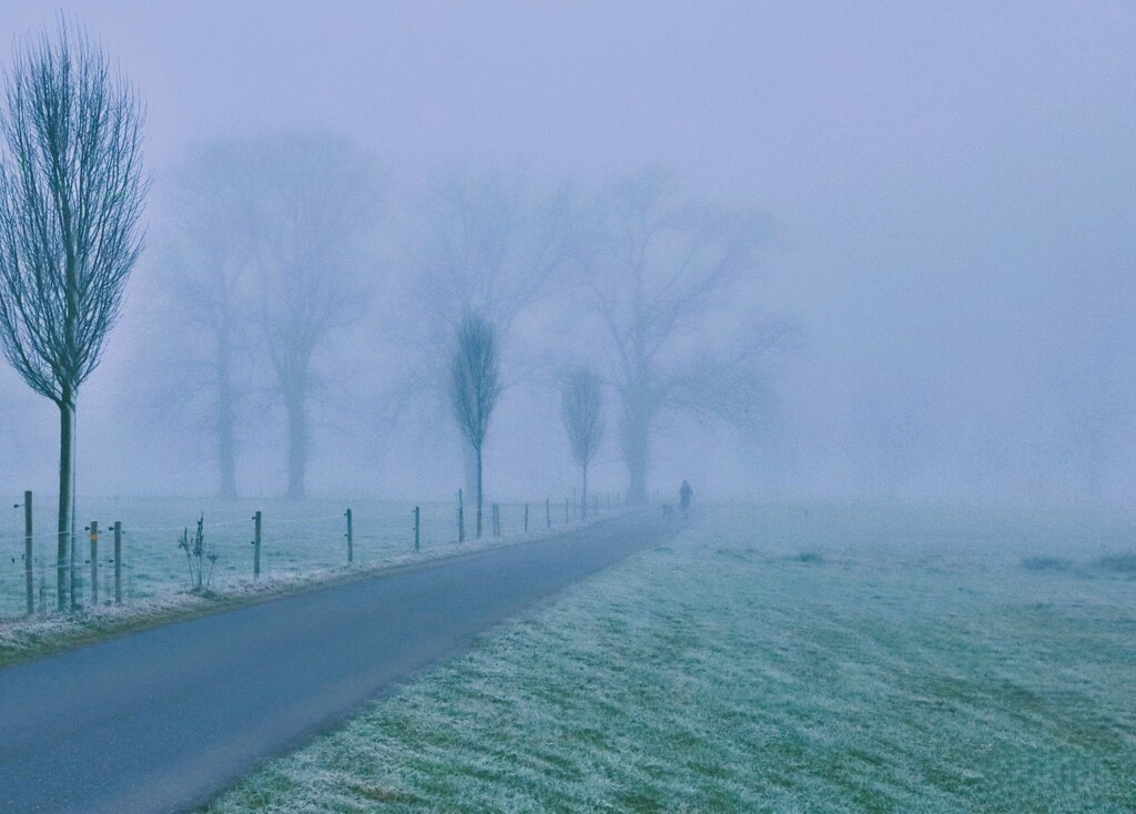 Nebel | huwimedia-fotografie - Realisiert mit Pictrs.com