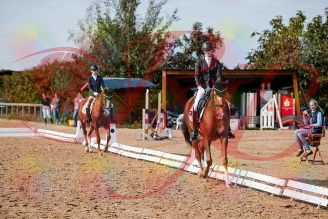 2026_10_03_Siefer-Hof_132909_Z63_91081131 | Professionelle Reitsport-, Turnier- und Eventfotografie von Robert Broda. Galerien mit ausgewählten und bearbeiteten Bildern direkt online ansehen und bestellen.