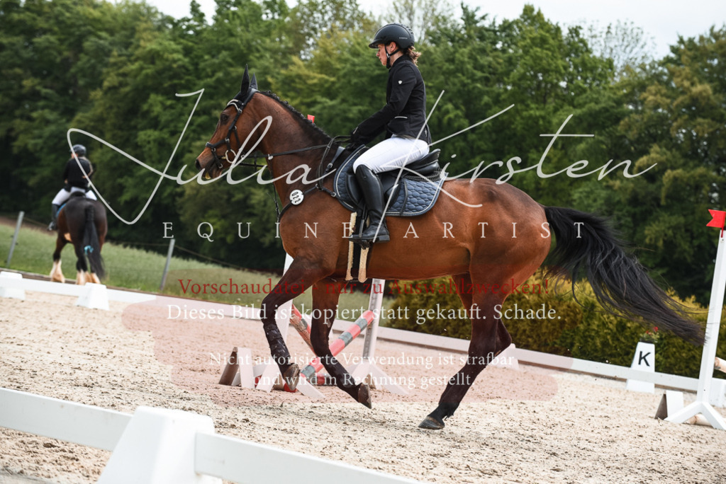 20230518_JK-Röhrsdorf-10-345 | Pferde- und Turnierfotografie in Westsachsen. Pferdeportraits, Auftragszeichnungen und intuitive Kunst.
