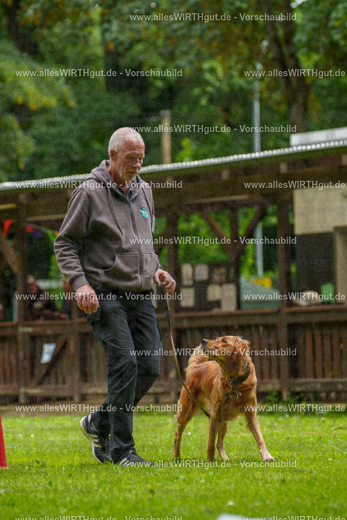 @allesWIRTHgut_Tierfotografie - www.allesWIRTHgut.de - 125811-7R509607 | Professionelle Tierfotografie in Mönchengladbach von Daniel Wirth (allesWIRTHgut). Liebevolle & natürliche Bilder von Hunden & Katzen für unvergessliche Erinnerungen.