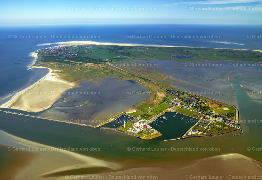 3091152 | Borkum Nationalpark Niedersächsisches Wattenmeer