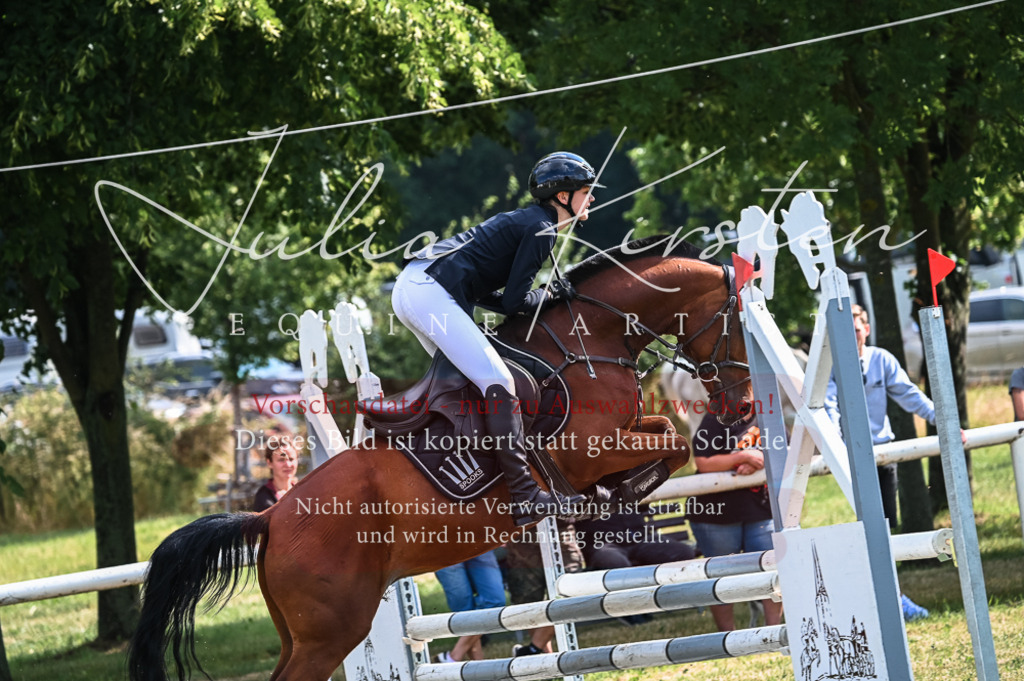 DSC_7900 | Pferde- und Turnierfotografie in Westsachsen. Pferdeportraits, Auftragszeichnungen und intuitive Kunst.