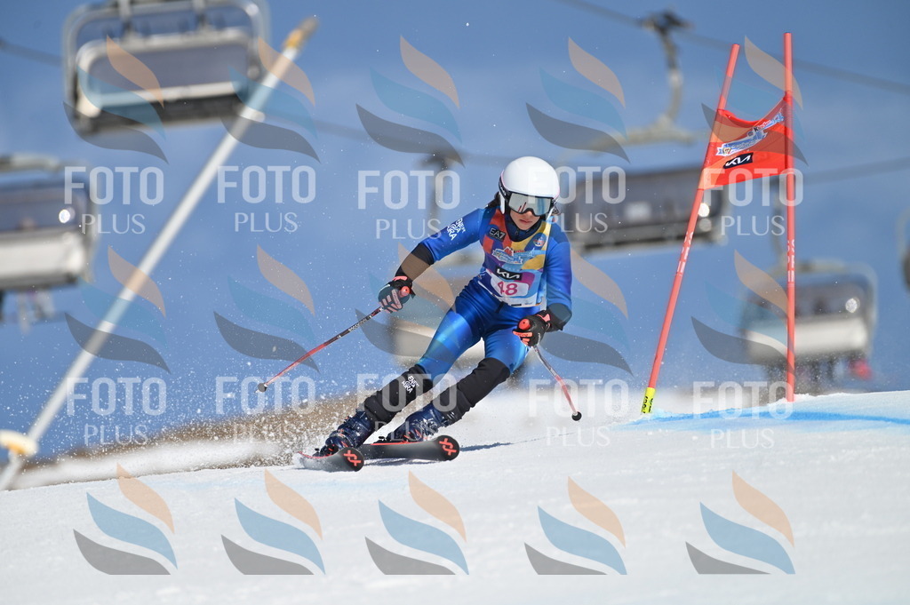 BGV_8496 | holidayphoto