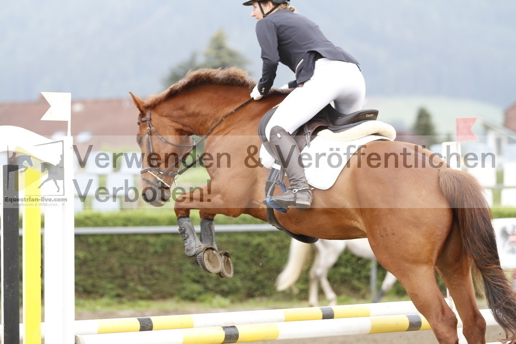 _MG_9841 | equestrian-live-com