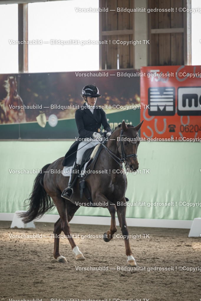 _D5A4914 | Emotionale Pferde- & People-Fotografie rund um Heidelberg, Leimen & Umgebung. Natürliche Fotos von Pferd, Mensch & Familie. Jetzt Termin sichern!