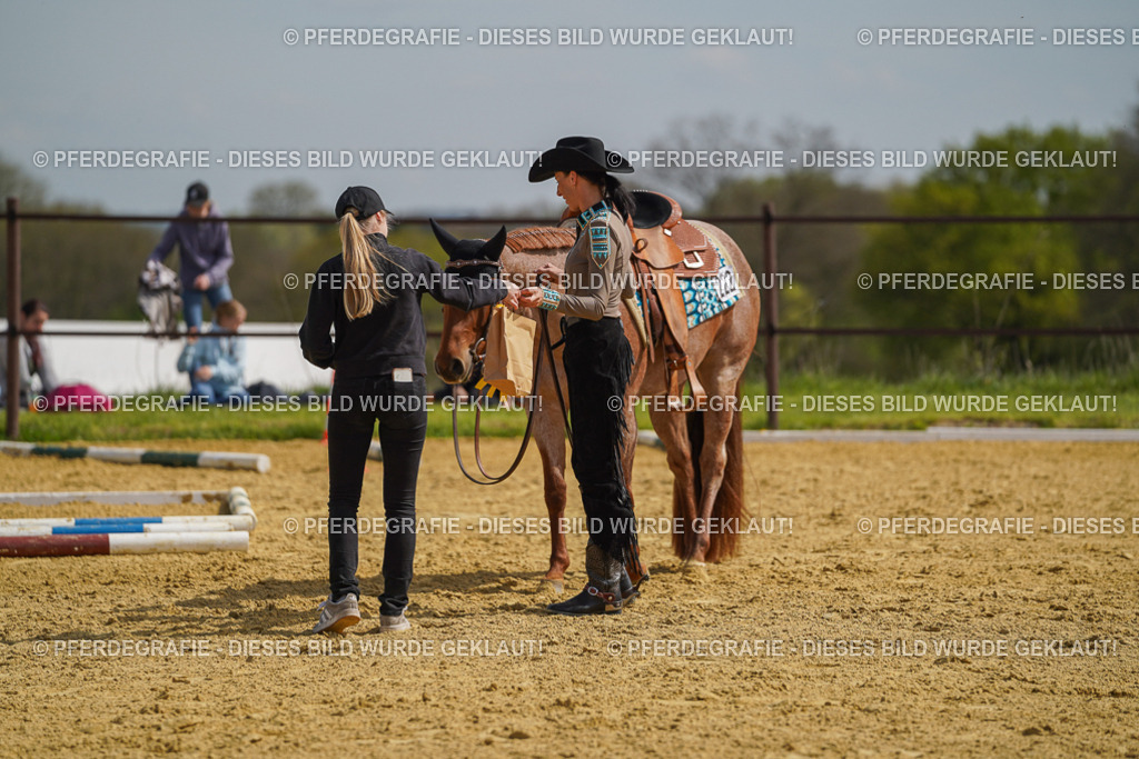 DSC04245 | Pferdegrafie