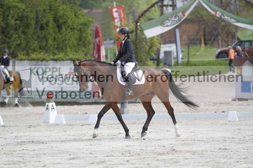 _MG_8231 | equestrian-live-com