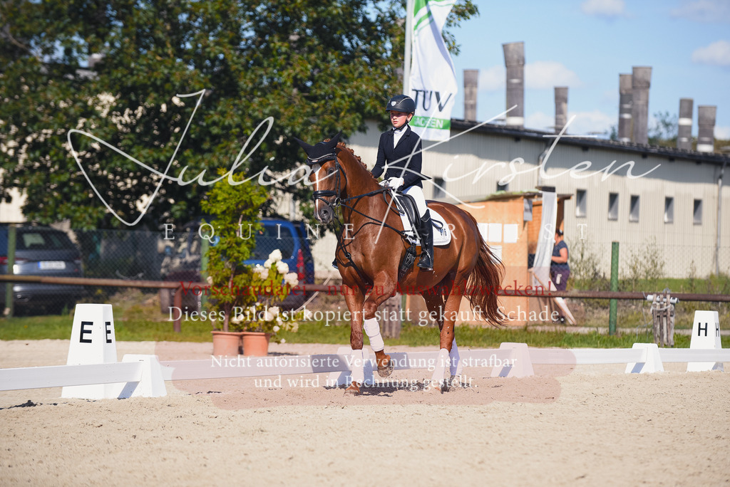 DSC_0090 | Pferde- und Turnierfotografie in Westsachsen. Pferdeportraits, Auftragszeichnungen und intuitive Kunst.
