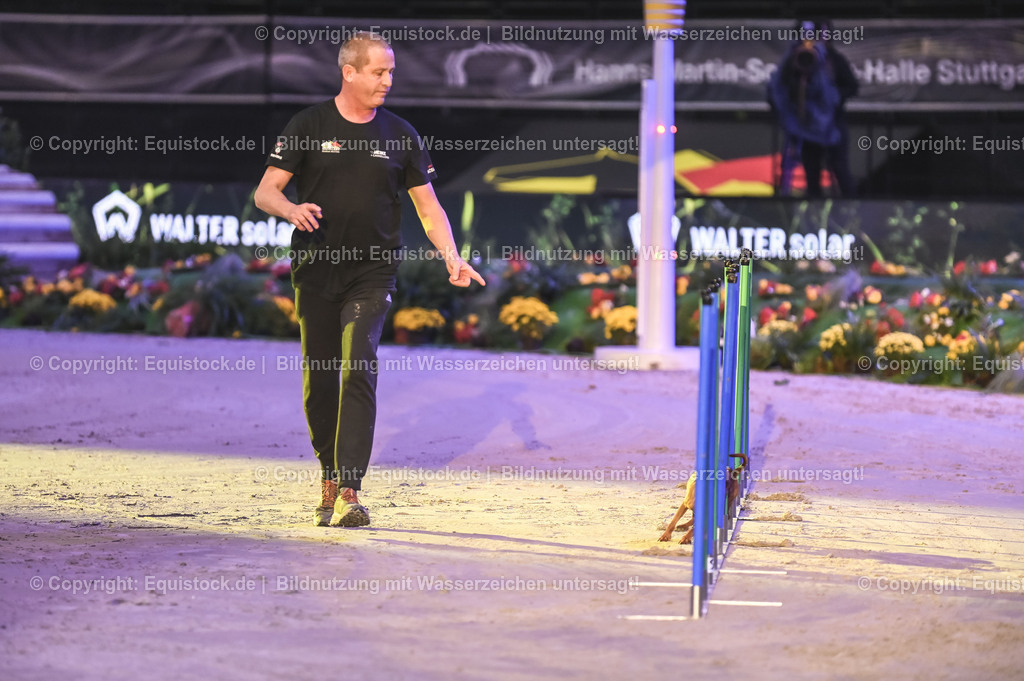 20231115_Dog-Agility_0042_TOMsPiC | Foto: Thomas Hartig