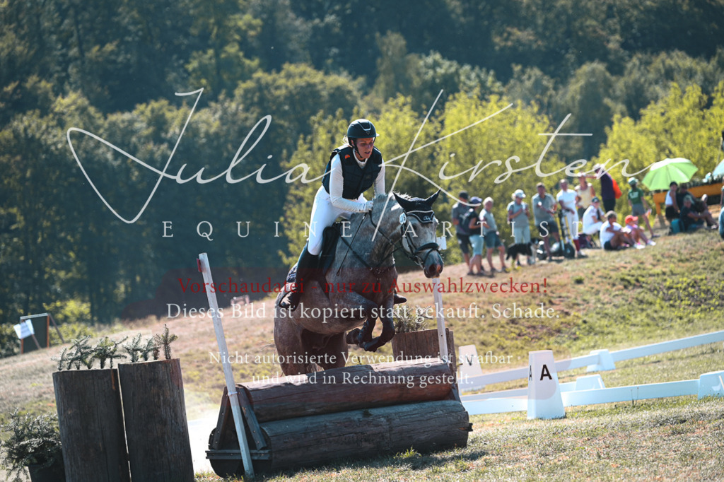DSC_8196 | Pferde- und Turnierfotografie in Westsachsen. Pferdeportraits, Auftragszeichnungen und intuitive Kunst.