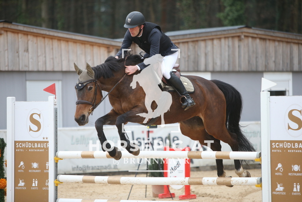PP013307 | Willkommen bei Brunnmayr - Design & Fotografie – Ihrem Spezialisten für Reitturniere und Pferdeveranstaltungen in Oberösterreich, Salzburg und Bayern! Seit über 17 Jahren sind wir leidenschaftlich dabei.