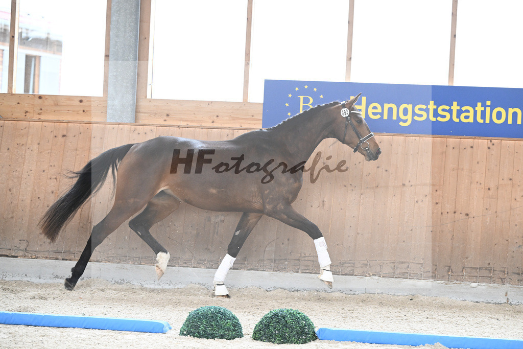Kat-Nr. 92 Tamino AK v. Total Spezial_Wimmer_7241616 | hf-fotografie - Realisiert mit Pictrs.com