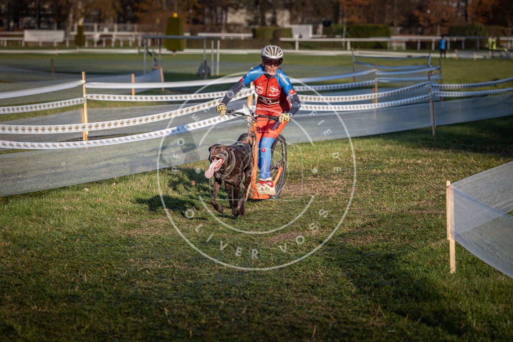 CaniXpix_0L8A3688 | Hundefotografie, Tierfotograf, Pfotenfotografie, Fotoshooting Hund, Hunde Portrait, Hundesport, Hundeportraits, Heideshooting, Hunde, Sportfotograf, Hundefotograf, Turnierhundsport, THS,  - Realisiert mit Pictrs.com