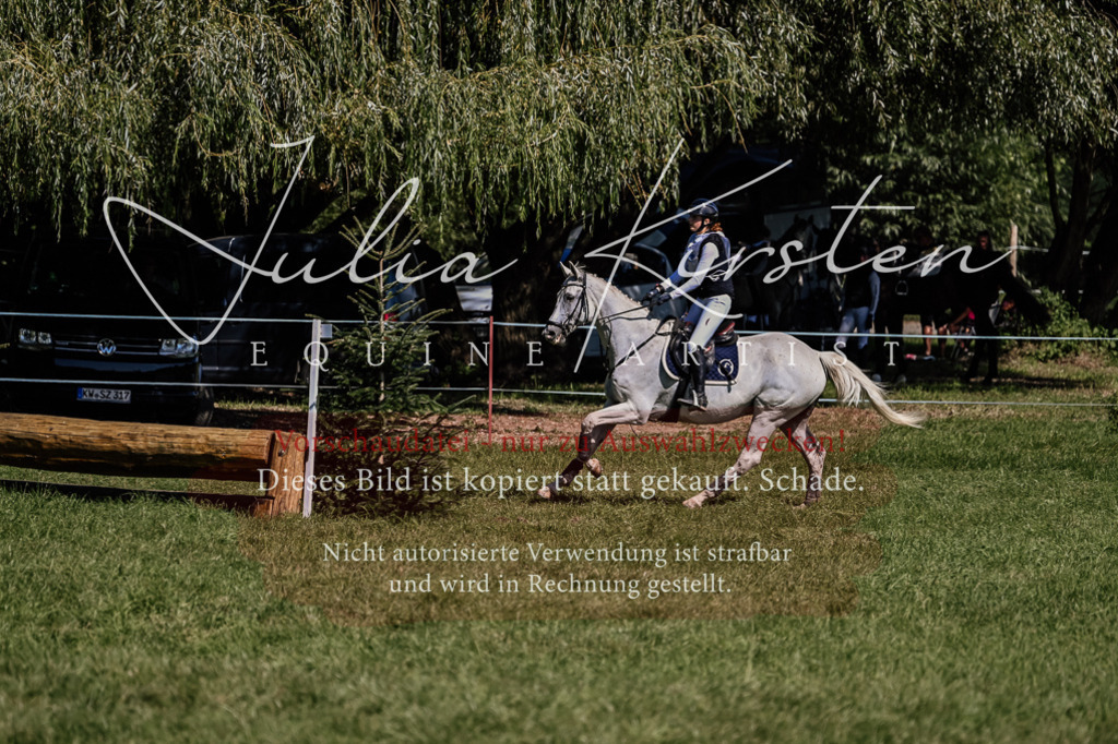 DSC_2030 | Pferde- und Turnierfotografie in Westsachsen. Pferdeportraits, Auftragszeichnungen und intuitive Kunst.