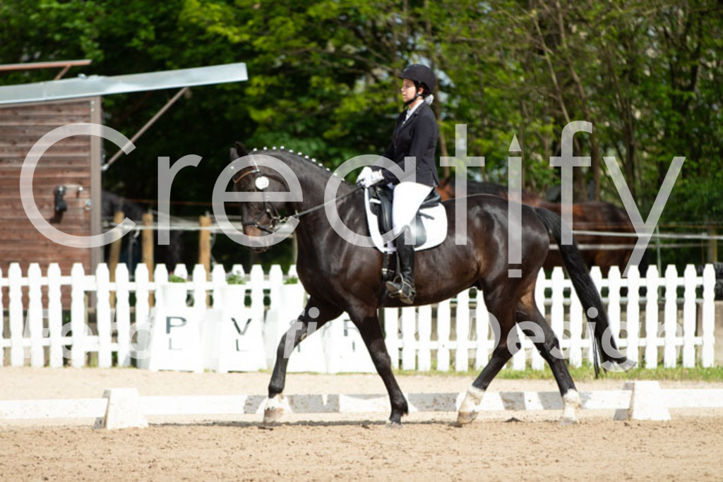 IMG_4206 | Creatify Fotografie