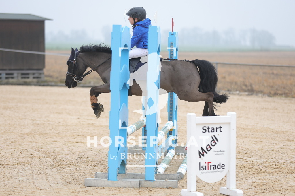 0P6A8303 | Willkommen bei Brunnmayr - Design & Fotografie – Ihrem Spezialisten für Reitturniere und Pferdeveranstaltungen in Oberösterreich, Salzburg und Bayern! Seit über 17 Jahren sind wir leidenschaftlich dabei.
