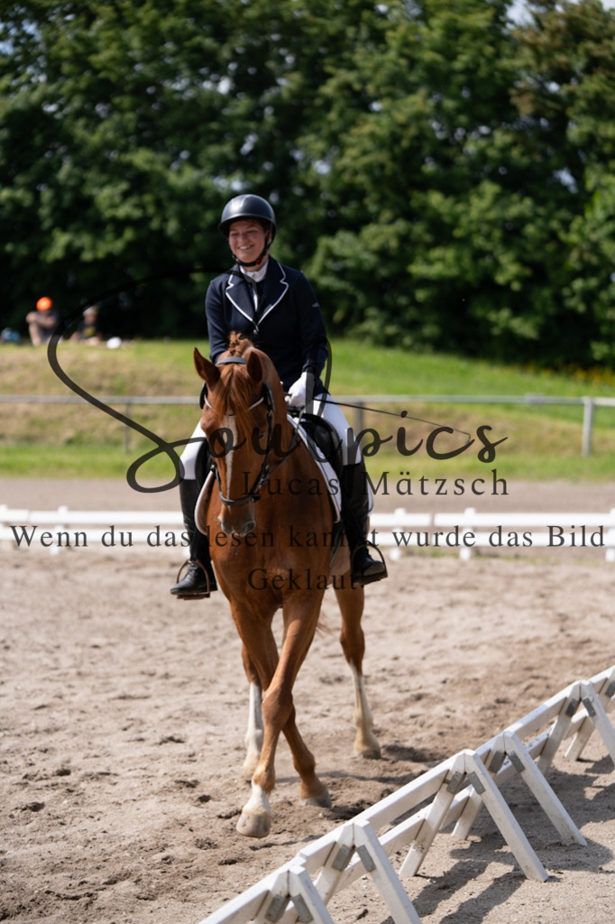 A7V02834 | Pferdefotograf