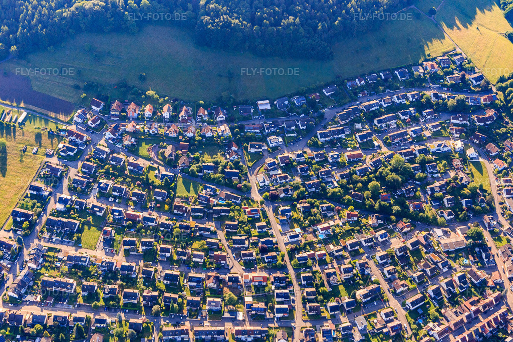 Luftbild: Talblick, Schwarzwaldstr in Seelbach im Bundesland Baden-Württemberg in Deutschland. Foto: IMG_147724.jpg vom 30.05.2025 durch Werner Riehm/FLY-FOTO.de