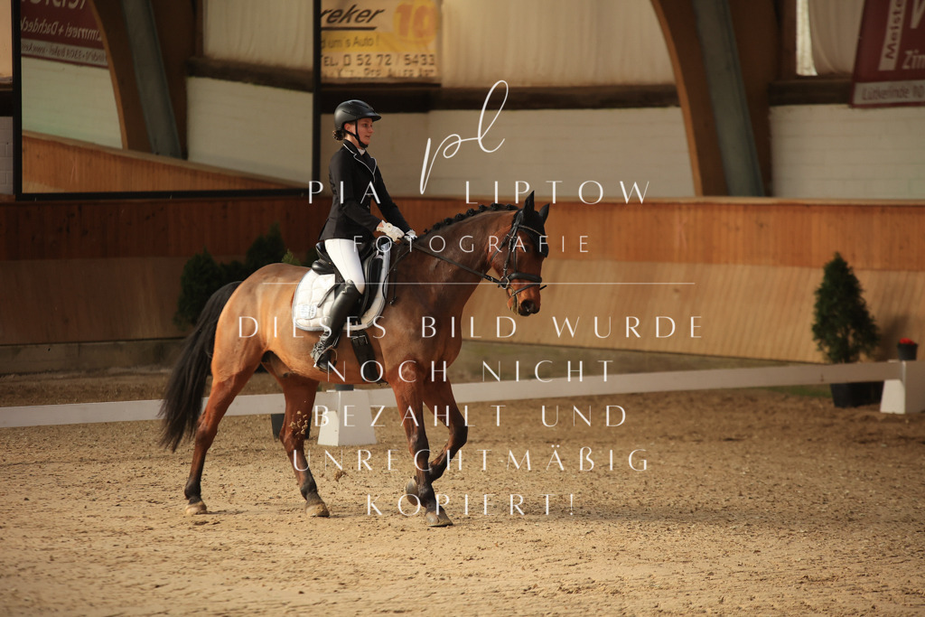 IMGT1408 | pl-fotografie