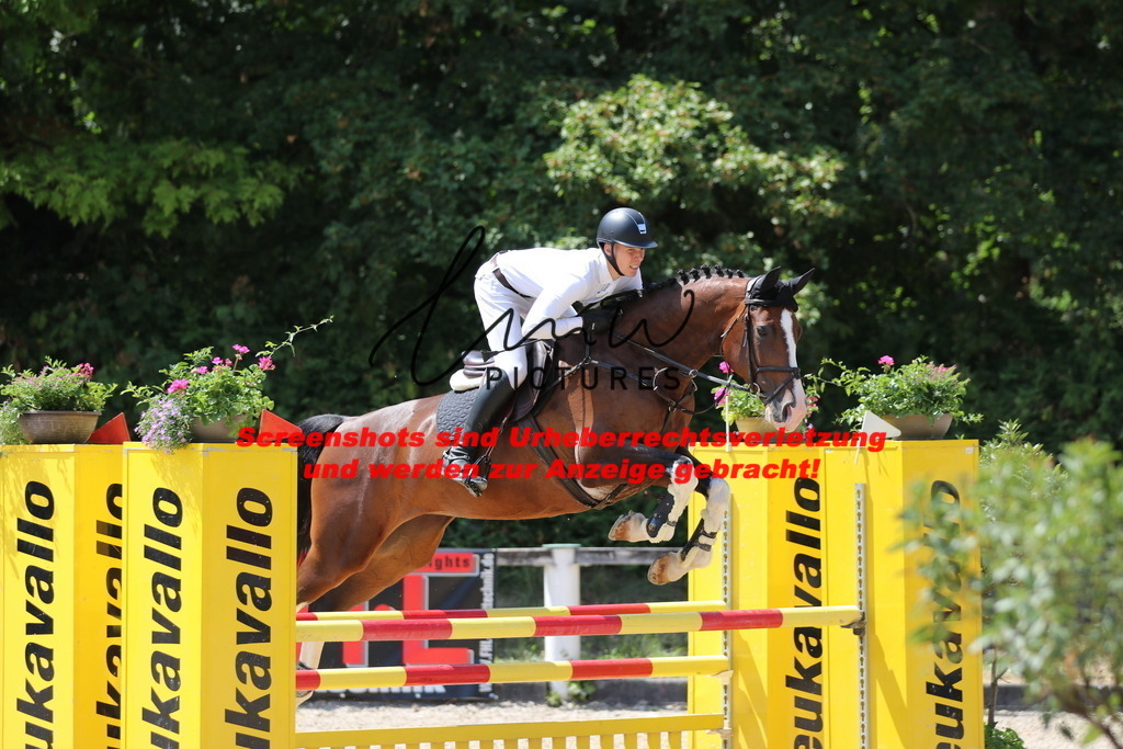 IMG_0087 | lmwpictures - Realisiert mit Pictrs.com