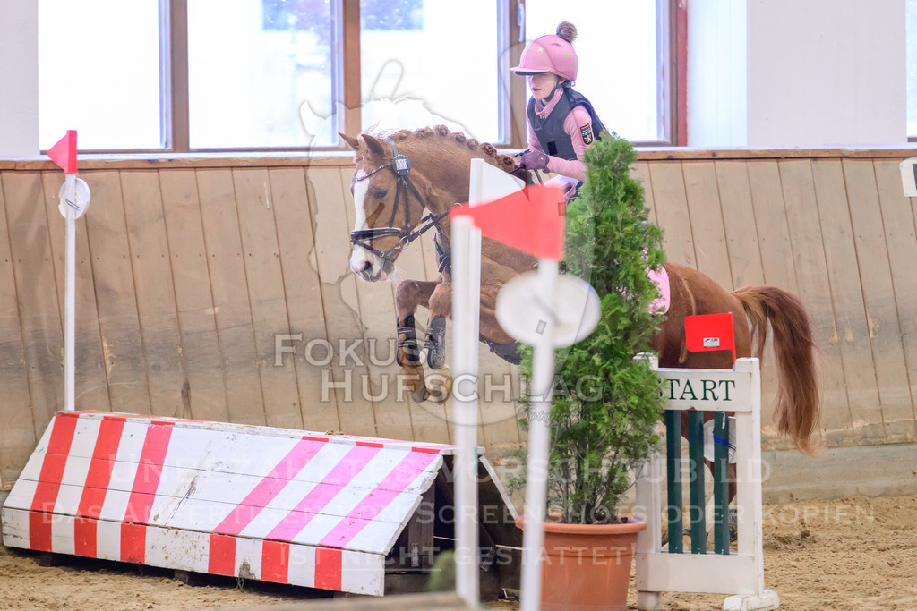 29032026-Schwaiganger-Prfg01-591 | Fokus Hufschlag Fotografie - Realisiert mit Pictrs.com