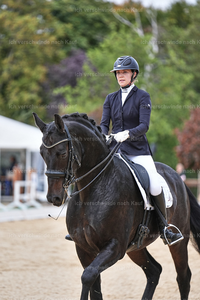 04_1-118-Dressur M__ -Marixx-2731 | working equitationturnier fotograf videograf stoibphotography marixx film working equitation deutschland reitsport turnierfotografie eventfotografie equestrian events