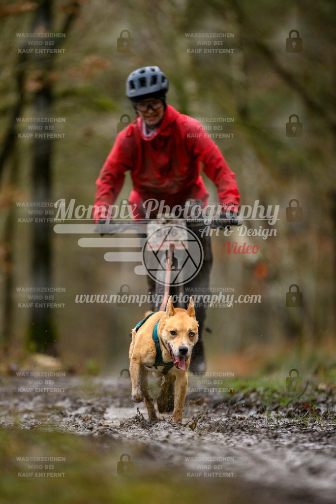 MompixPhotography_CDSM24_SA_DS1-48 | mompixphotography