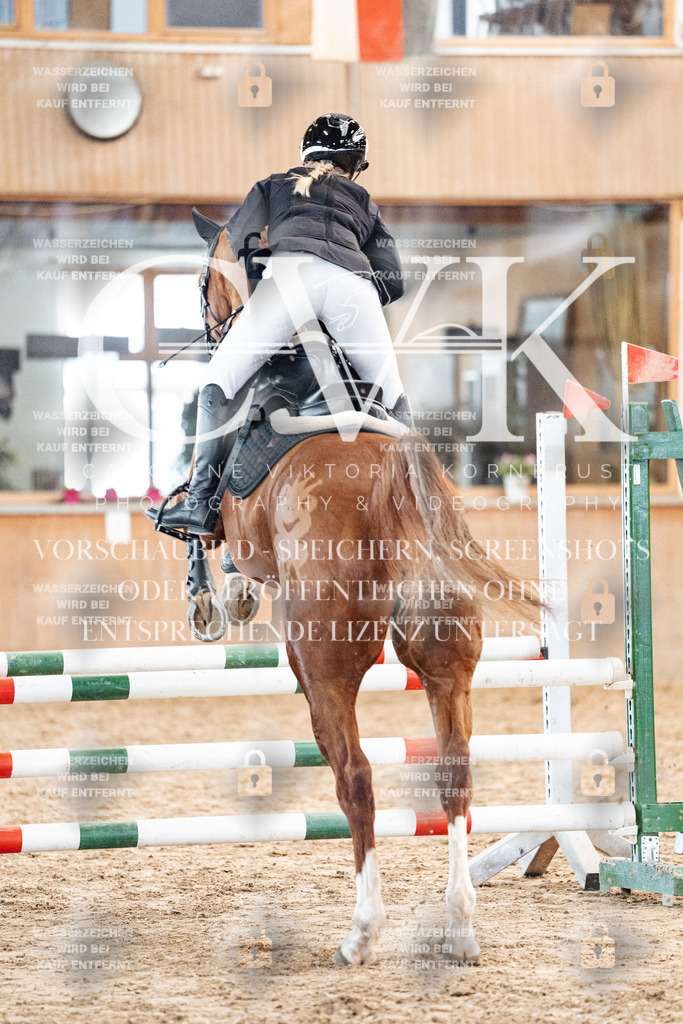 CK904125 | Turnierfotografie Pferdefotografie Trier Rheinland-Pfalz Pferdesport Reitsport Tierfotografie Sportfotografie Pferdevideo Pferdevideografie Equestrianvideography equestrianphotography  - Realisiert mit Pictrs.com