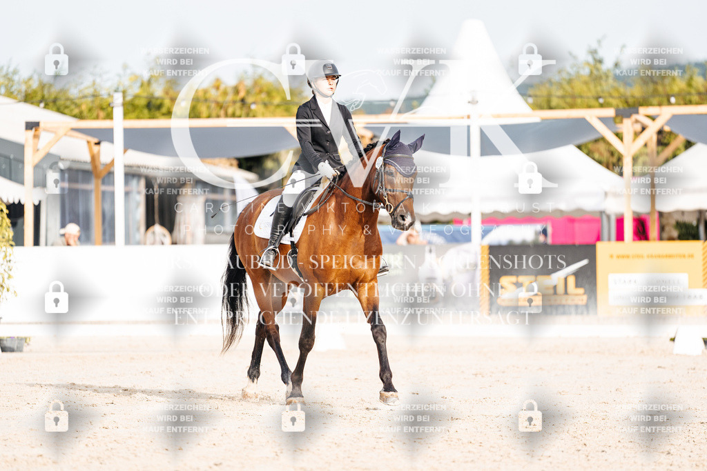 CK904019 | Turnierfotografie Pferdefotografie Trier Rheinland-Pfalz Pferdesport Reitsport Tierfotografie Sportfotografie Pferdevideo Pferdevideografie Equestrianvideography equestrianphotography  - Realisiert mit Pictrs.com