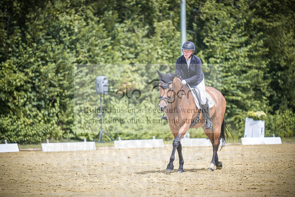 DOS_4079 | Entdecke hochwertige Reitturnierfotos von Foto Oger. Professionell, emotional und authentisch – jetzt Lieblingsmomente im Shop bestellen.Deutschlandweite Turnierfotografie. - Realisiert mit Pictrs.com
