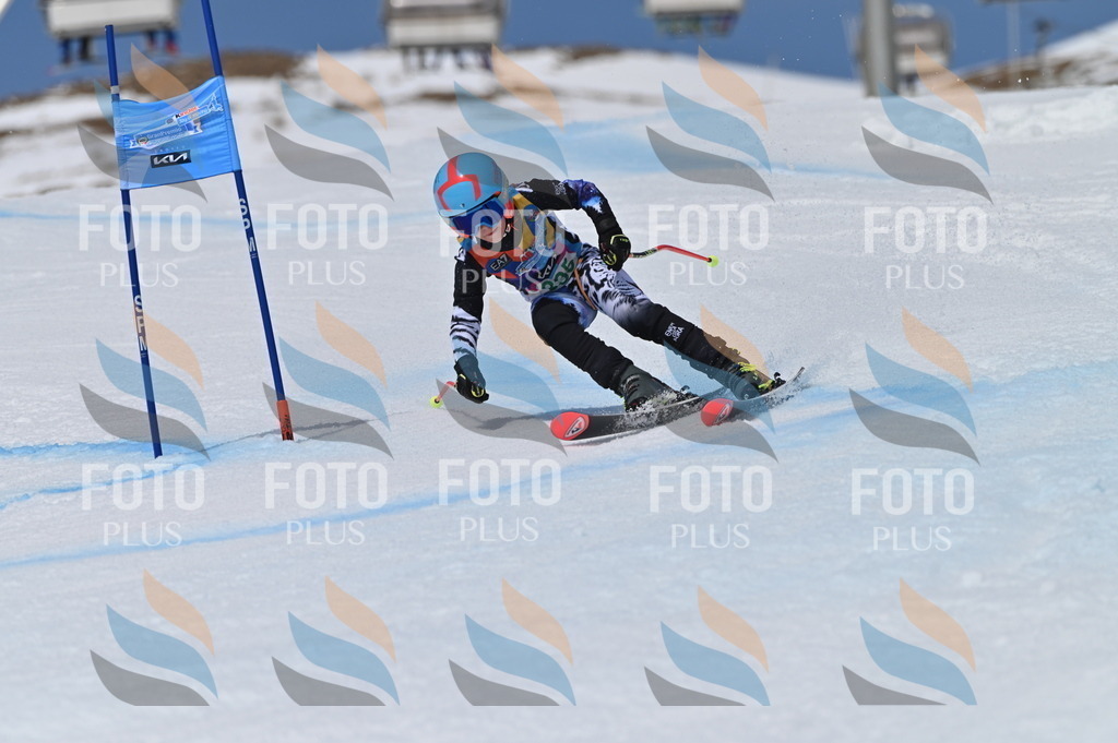 BGV_6630 | holidayphoto