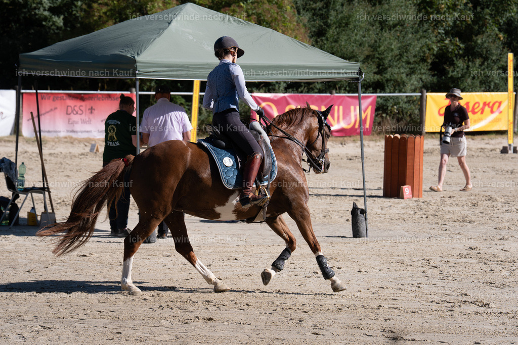 WL_SP_89_SinaFilmArt_IN05741 | working equitationturnier fotograf videograf stoibphotography marixx film working equitation deutschland reitsport turnierfotografie eventfotografie equestrian events