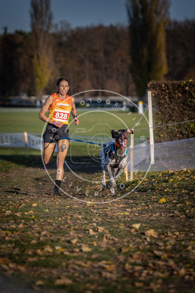 CaniXpix_DV3A3387 | Hundefotografie, Tierfotograf, Pfotenfotografie, Fotoshooting Hund, Hunde Portrait, Hundesport, Hundeportraits, Heideshooting, Hunde, Sportfotograf, Hundefotograf, Turnierhundsport, THS,  - Realisiert mit Pictrs.com