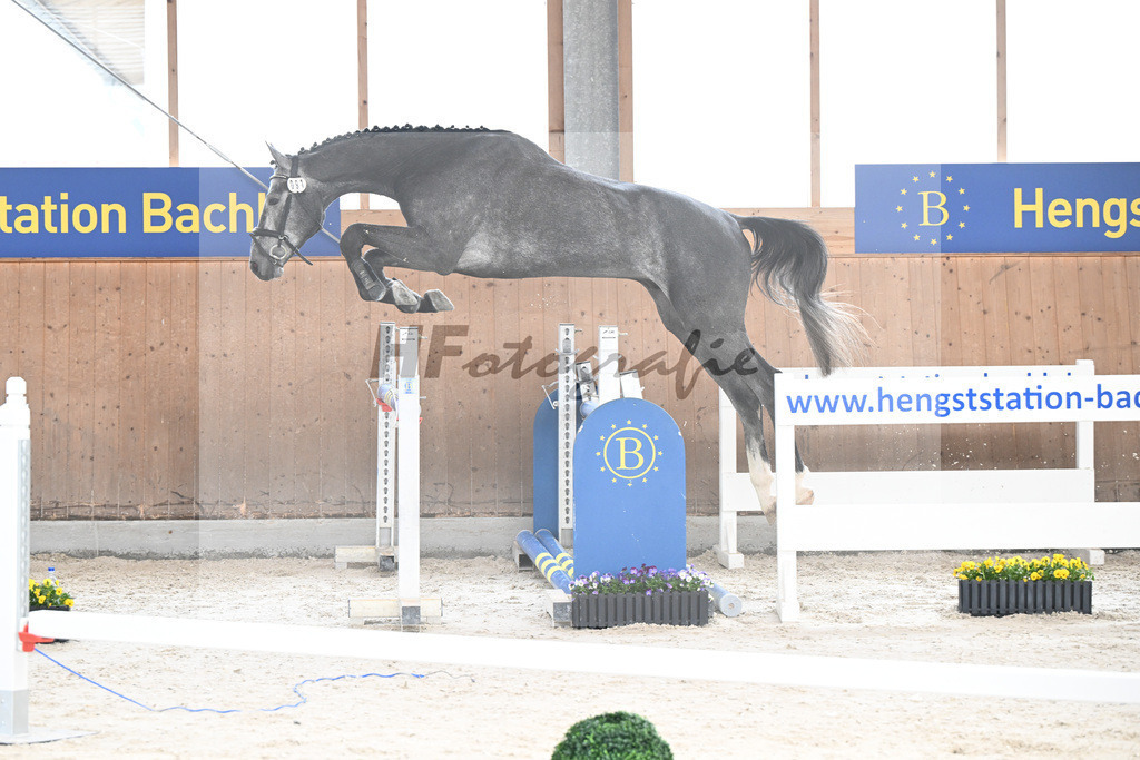 Kat-Nr. 91 Radetsky S v. El Torreo de Muze_KES Kreidl_5250416 | hf-fotografie - Realizzato con Pictrs.com