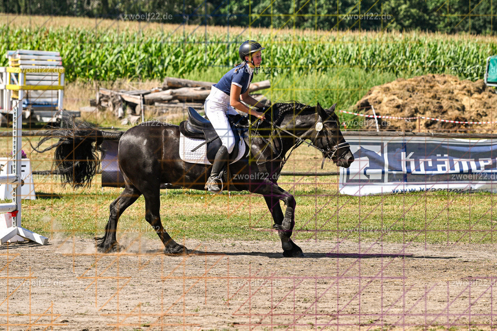 30 Jahre RFV Pulsnitz e.V., Pulsnitz am 09.08.2026 | Zur 28. breitensportlichen Veranstaltung des RFV Pulsnitz e.V. fanden verschiedene Wettbewerbe in nahezu allen Disziplinen des Pferdesport statt. - 06 Standard-Spring-Wettbewerb - Realisiert mit Pictrs.com