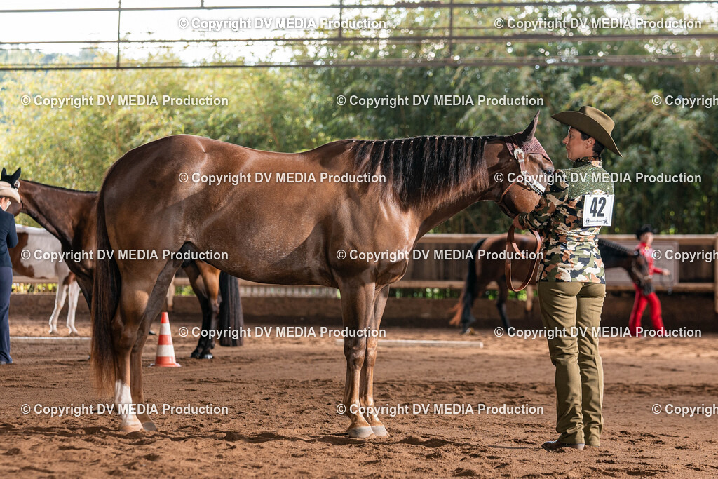 Erbach Tag 3-161 | dv-media-shop - Realisiert mit Pictrs.com