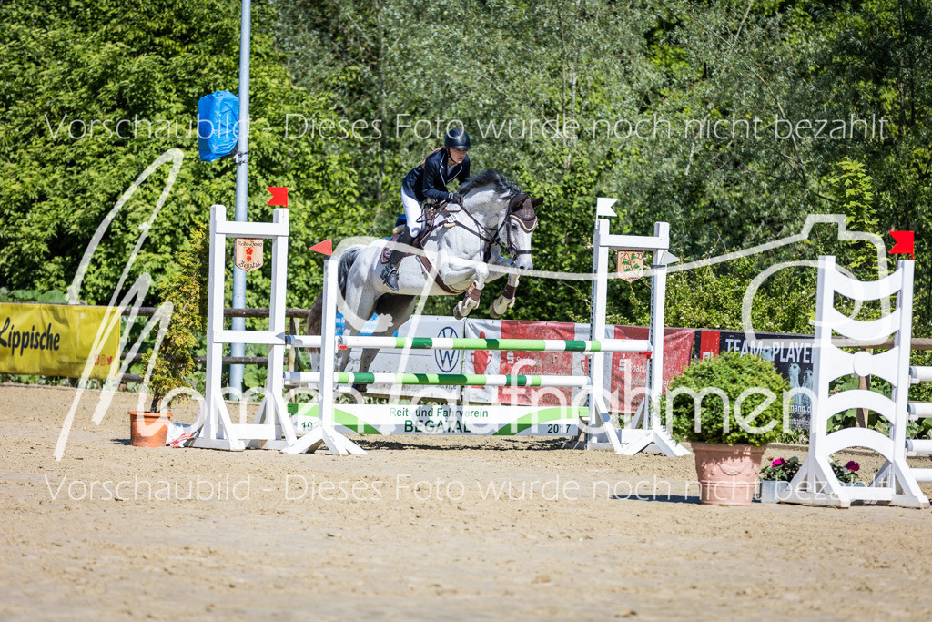 Donop24-A2Spr-106 | MomenTaufnahmen Pferdesportfotos