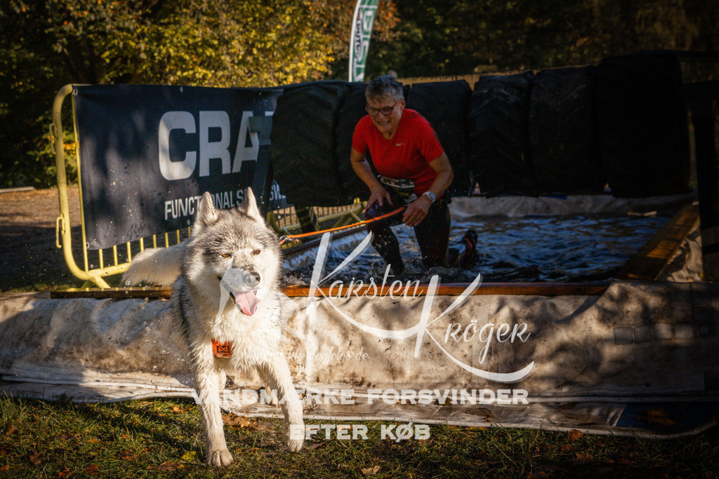0935_ZZ91430 | kk-dogfotos
