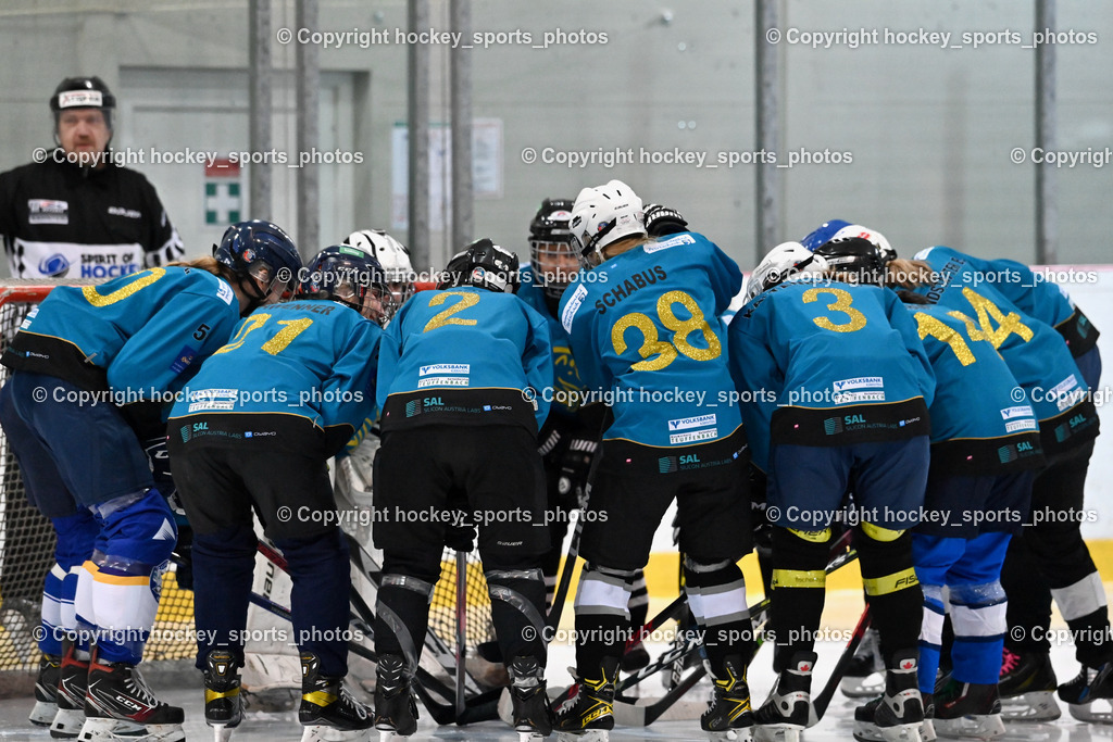 BST_6305 | hockey sports photos, Pressefotos, Sportfotos, hockey247, win 2day icehockeyleague, Handball Austria, Floorball Austria, ÖVV, Kärntner Eishockeyverband, KEHV, KFV, Kärntner Fussballverband, Österreichischer Volleyballverband, Alps Hockey League, ÖFB, 