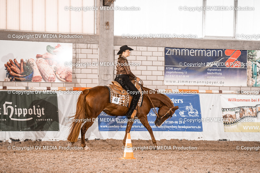 ZH100695 | dv-media-shop - Realisiert mit Pictrs.com