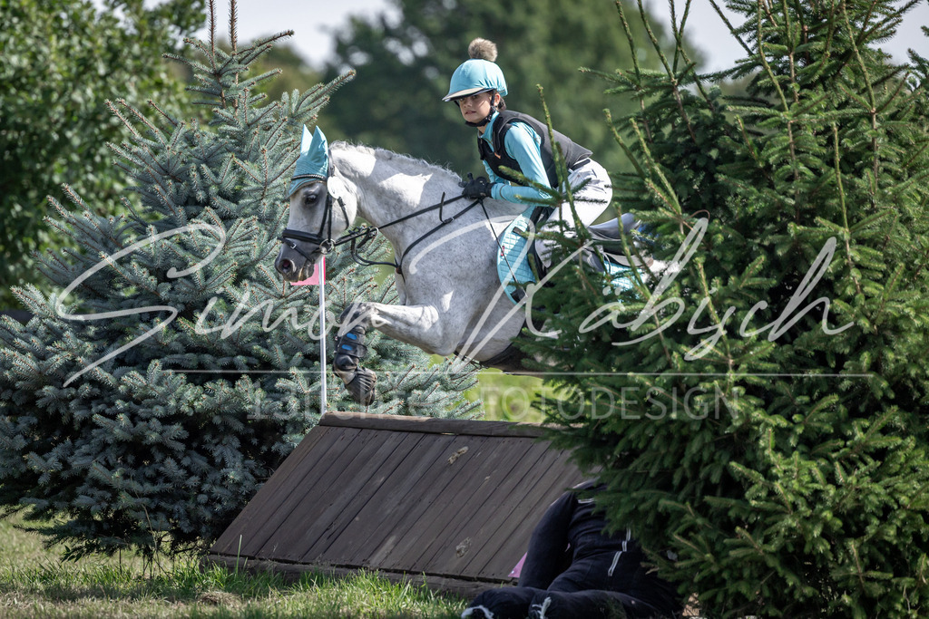 20250907-_3LI0109 | Tierfotografie Pferde, Hunde, Katzen, Haustiere.
Turnierfotografie Reitturniere, Reiten, Springreiten, Dressur in Hanau, dem Main-Kinzig-Kreis und dem Rhein-Main- Gebiet um Frankfurt