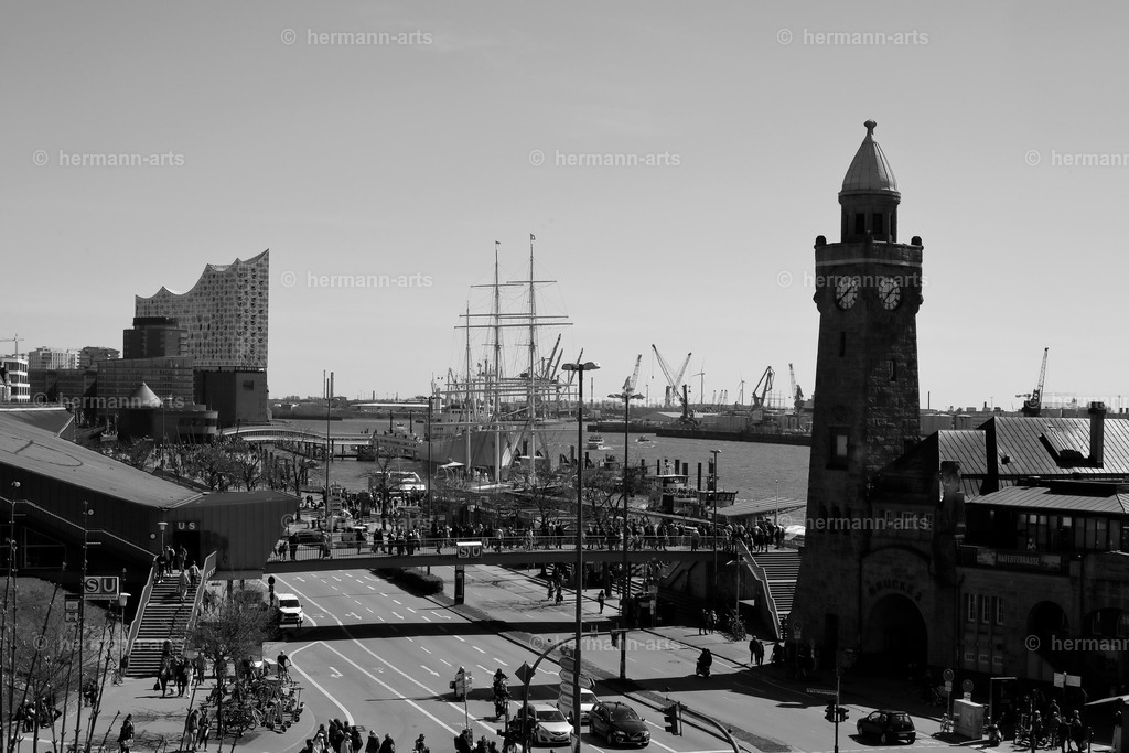 Hamurg_Arts-015 | Photo Foto Kunst Art schwarzweiss Bilder Rheine Münster Berlin Blumen 