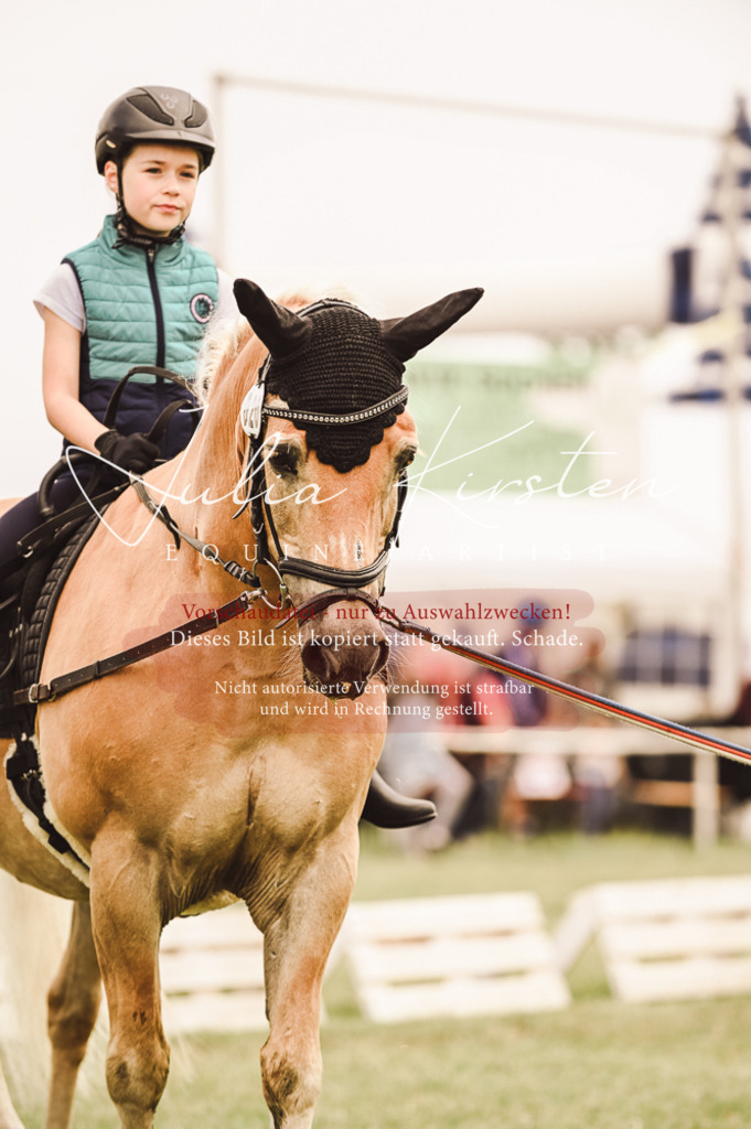 DSC_5333 | Pferde- und Turnierfotografie in Westsachsen. Pferdeportraits, Auftragszeichnungen und intuitive Kunst.