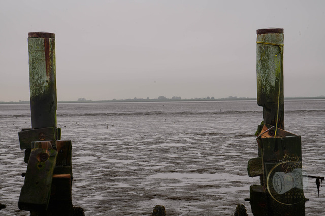 _DSC2916 | Shop für Prints Landschaftsfotografie Sächsische Schweiz Naturfotografie in Thüringen Fotos vom Findlingspark Nochten Kloster Sankt Marienstern Bilder Festung Königstein PanoramaRhododendronpark Kromlau FotogalerSchleswig-Holstein Küstenlandschaften
