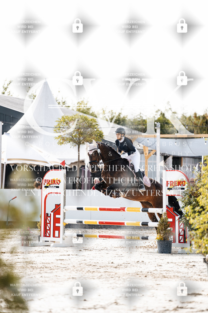 CK905606 | Turnierfotografie Pferdefotografie Trier Rheinland-Pfalz Pferdesport Reitsport Tierfotografie Sportfotografie Pferdevideo Pferdevideografie Equestrianvideography equestrianphotography  - Realisiert mit Pictrs.com