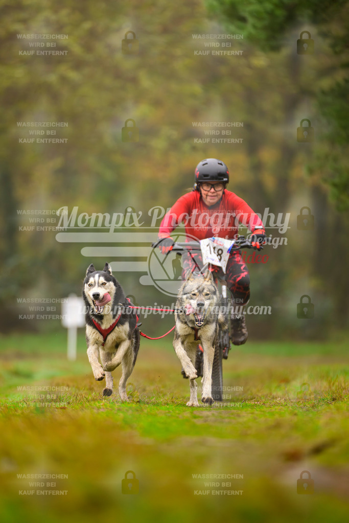 MompixPhotography_Bischwiller2025_Bike-136 | mompixphotography