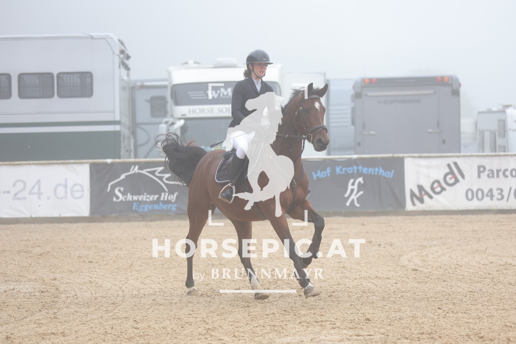 0P6A0484 | Willkommen bei Brunnmayr - Design & Fotografie – Ihrem Spezialisten für Reitturniere und Pferdeveranstaltungen in Oberösterreich, Salzburg und Bayern! Seit über 17 Jahren sind wir leidenschaftlich dabei.