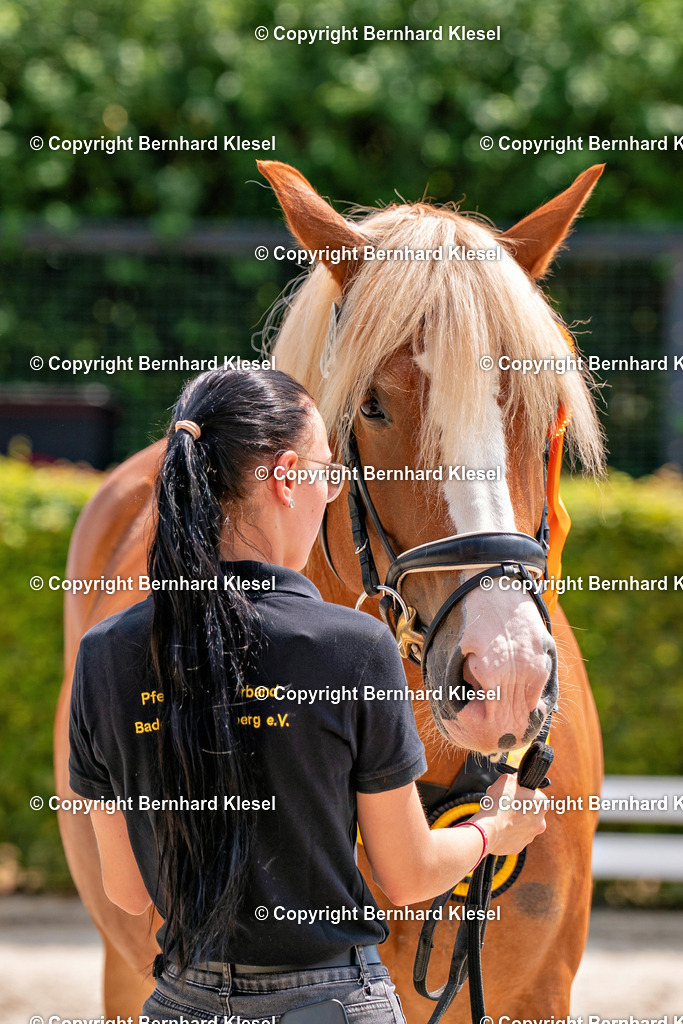 2A901444 | foto-team-bernhard - Realisiert mit Pictrs.com