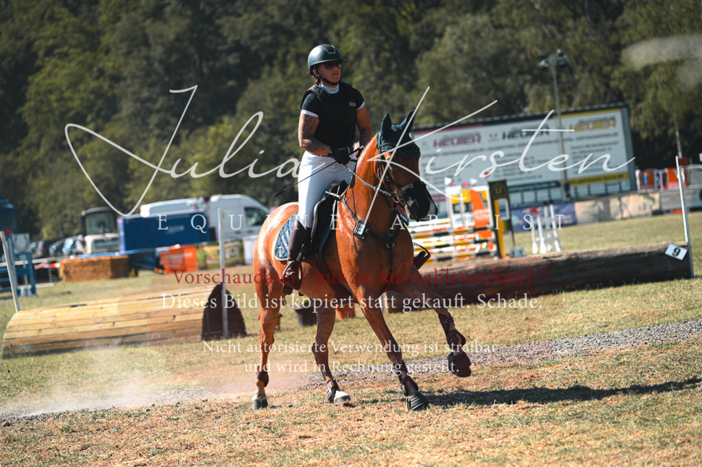 DSC_8024 | Pferde- und Turnierfotografie in Westsachsen. Pferdeportraits, Auftragszeichnungen und intuitive Kunst.