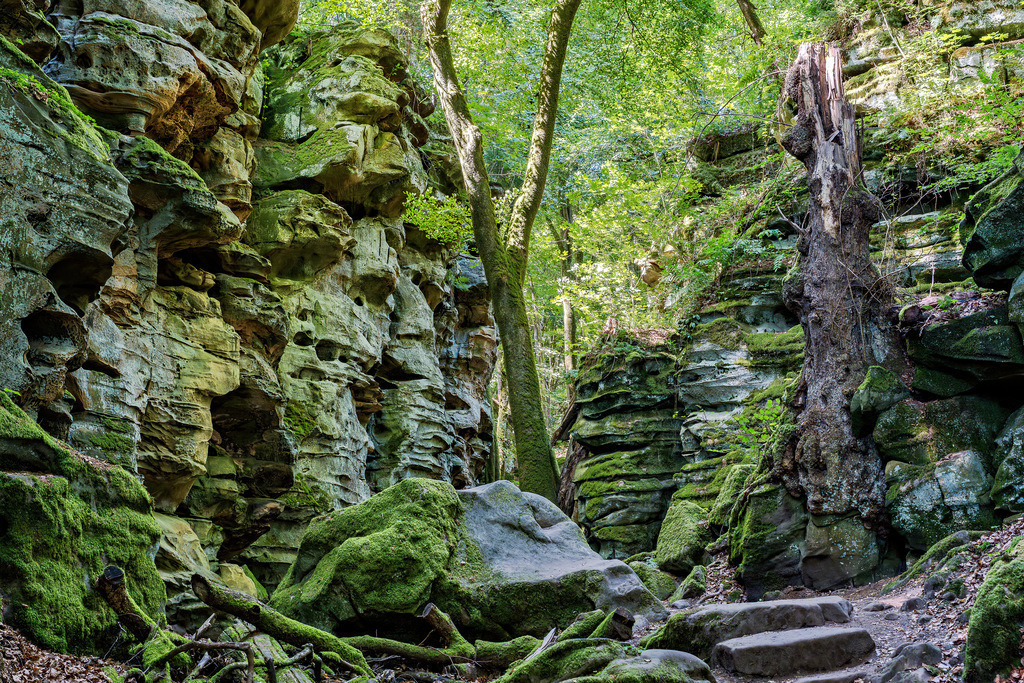 Mystische Teufelsschlucht in der Eifel | Die mystische Teufelsschlucht in der Südeifel. - Realisiert mit Pictrs.com